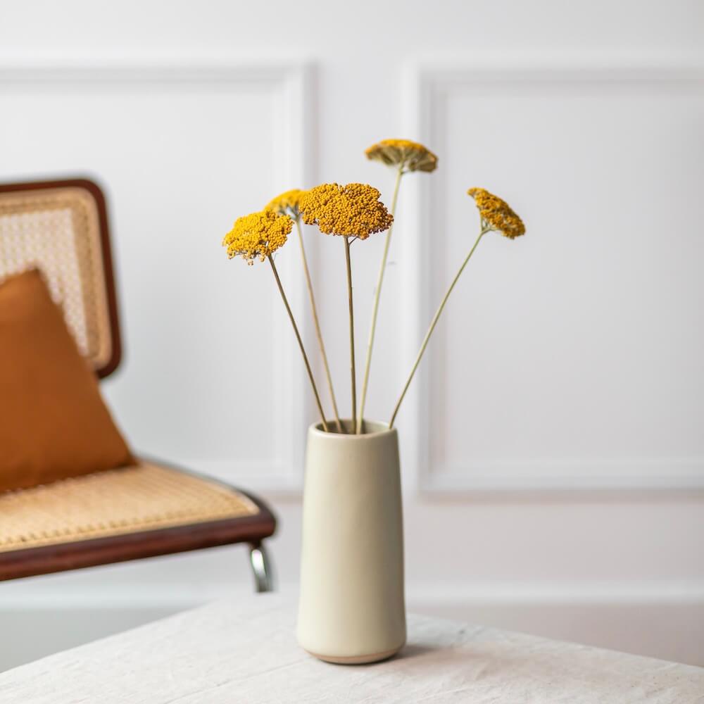 achilee-jaune-botte-fleurs-sechees