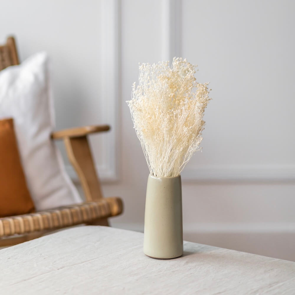 broom-bloom-blanc-botte-fleurs-sechees