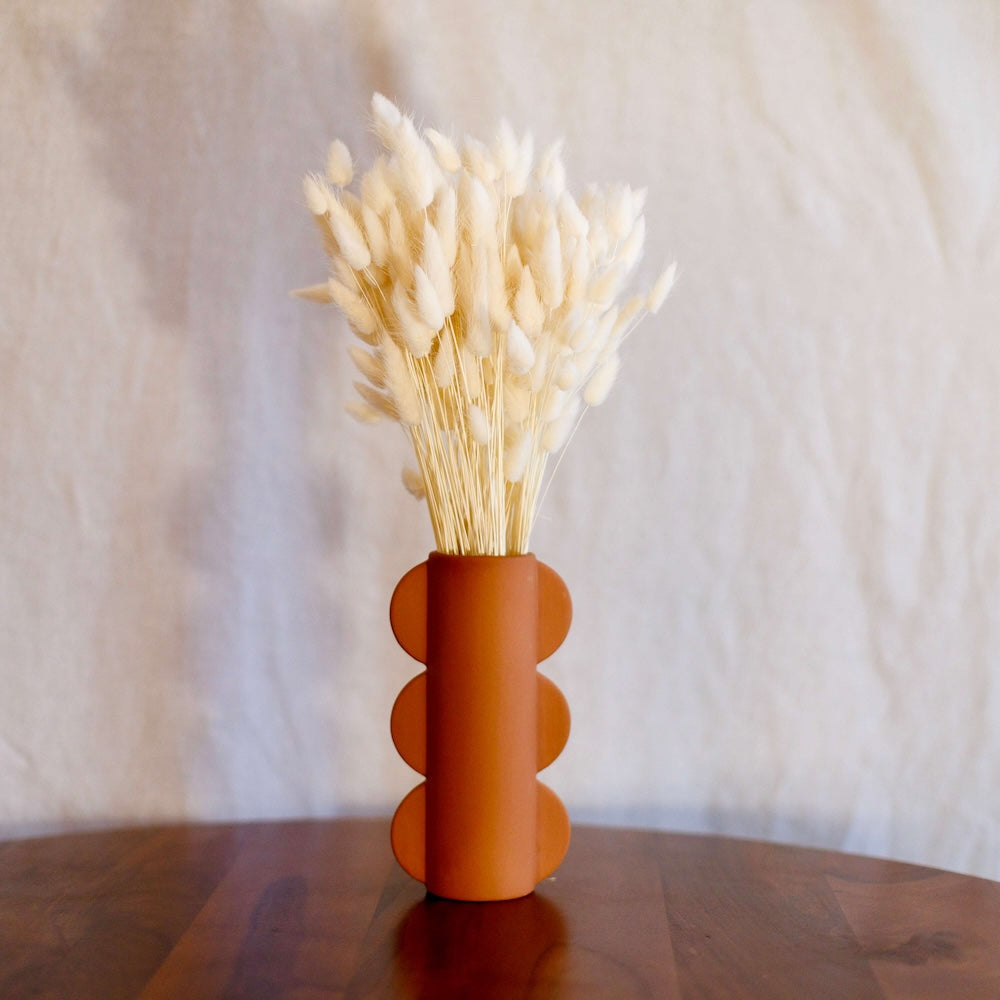 Botte Lagurus blanc
