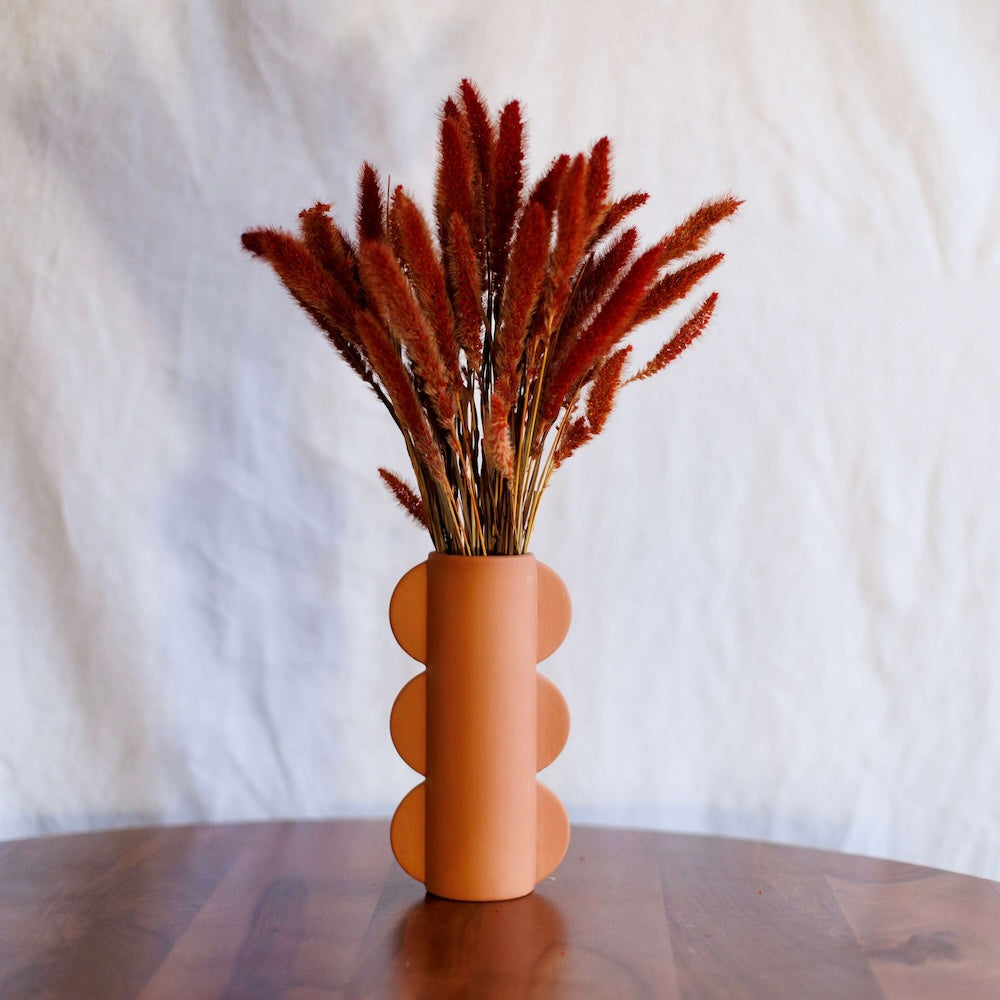 Rust Setaria boot