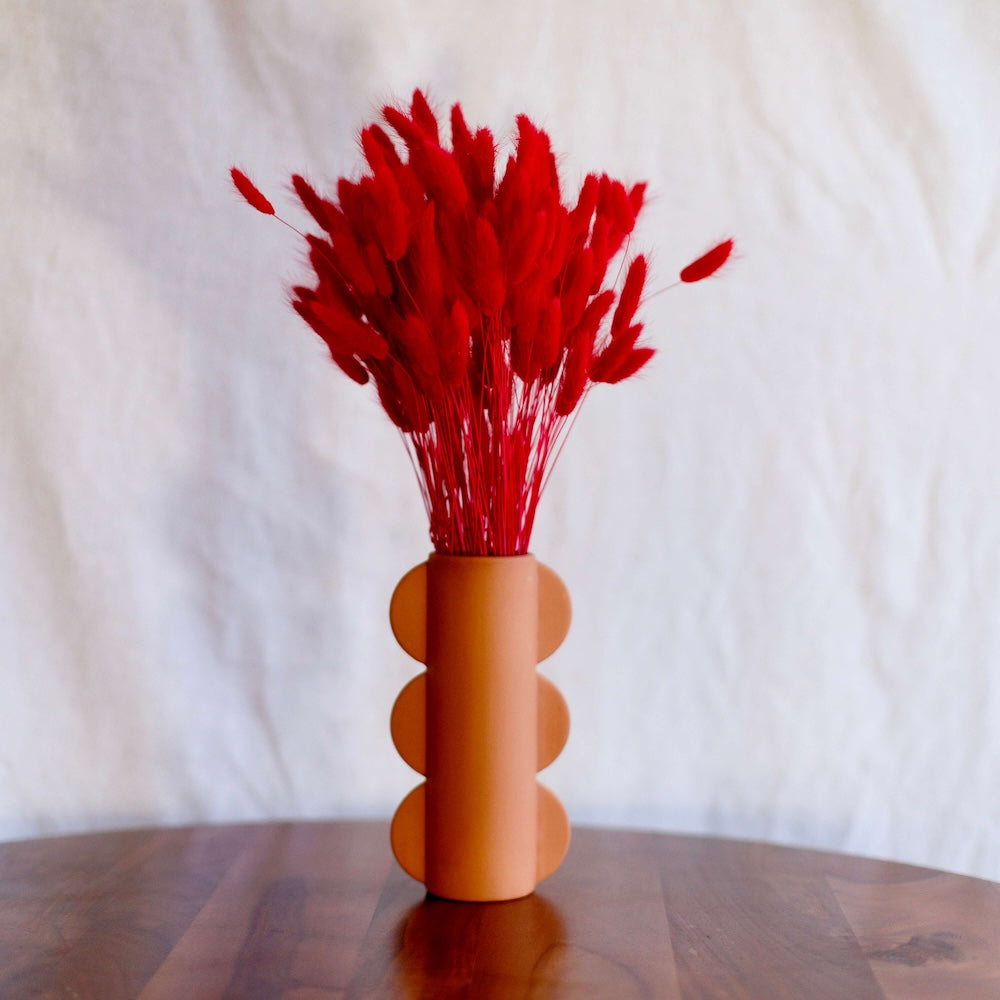 Botte lagurus rouge