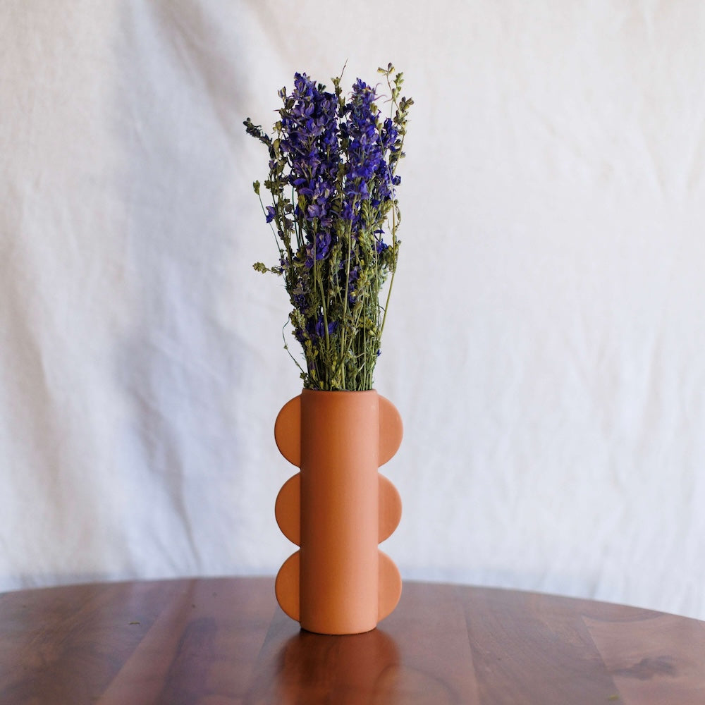 Botte Delphinium bleu