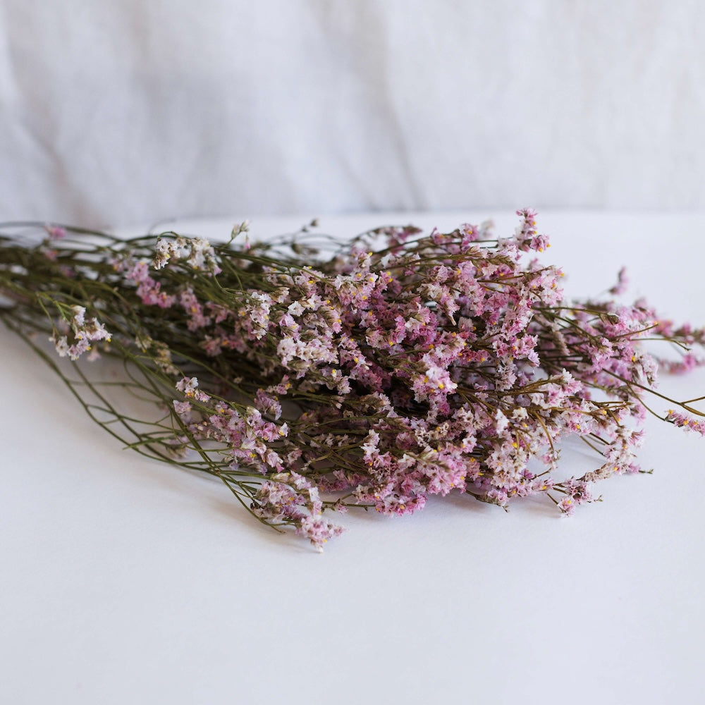 Botte Limonium rose