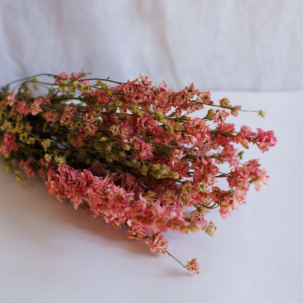 Pink Delphinium Boot