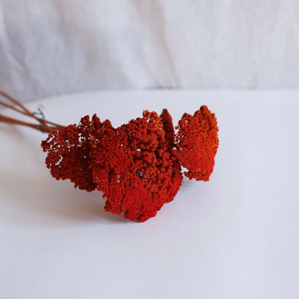 Botte Achillée rouge