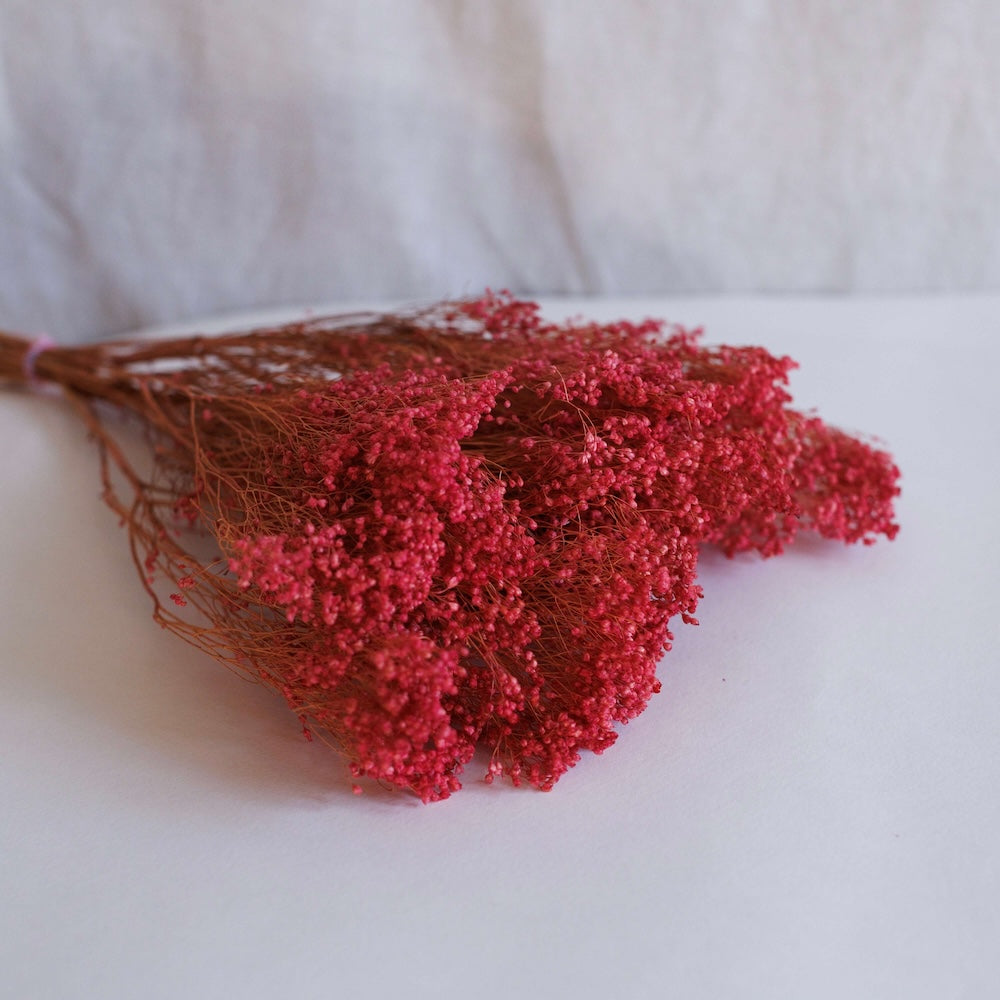 Broom bloom Rose Boot