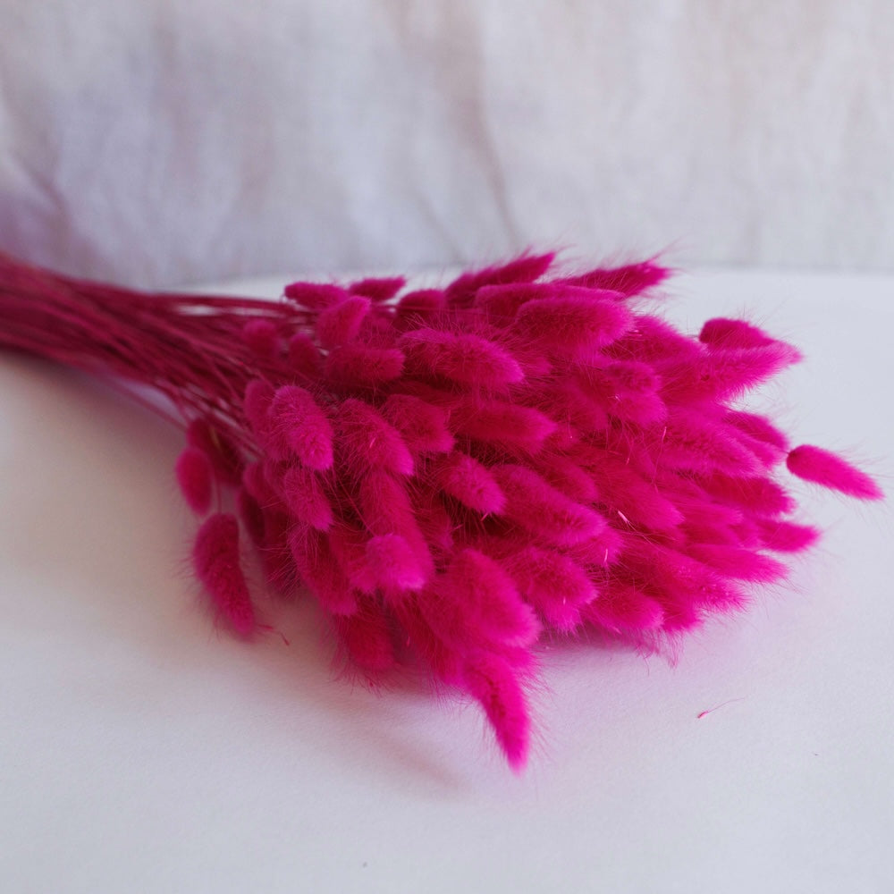 Fuchsia Lagurus Bunch
