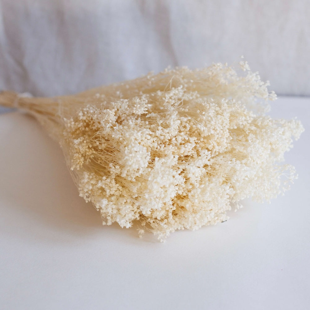 White Broom Bloom Boot