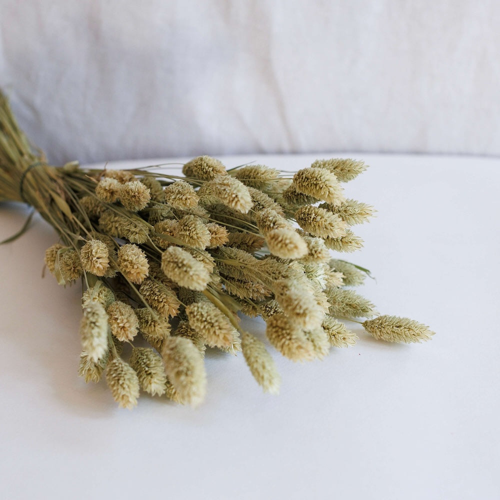 Natural Phalaris Boot
