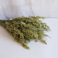 Natural Green Oat Hay