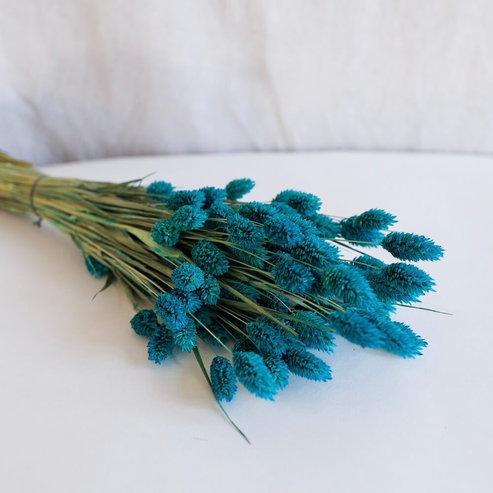 Petrol Blue Phalaris Boot