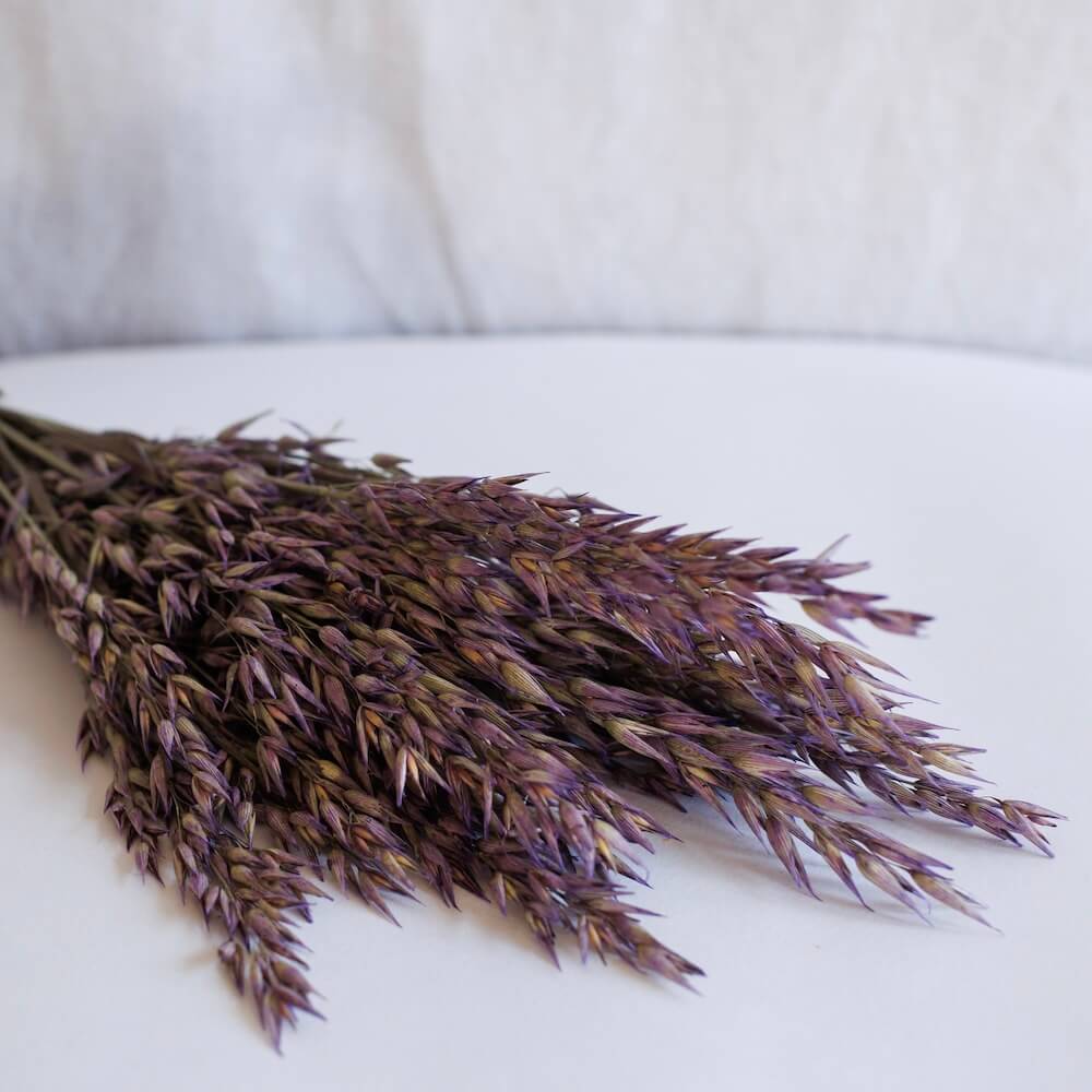 Botte Avoine violet