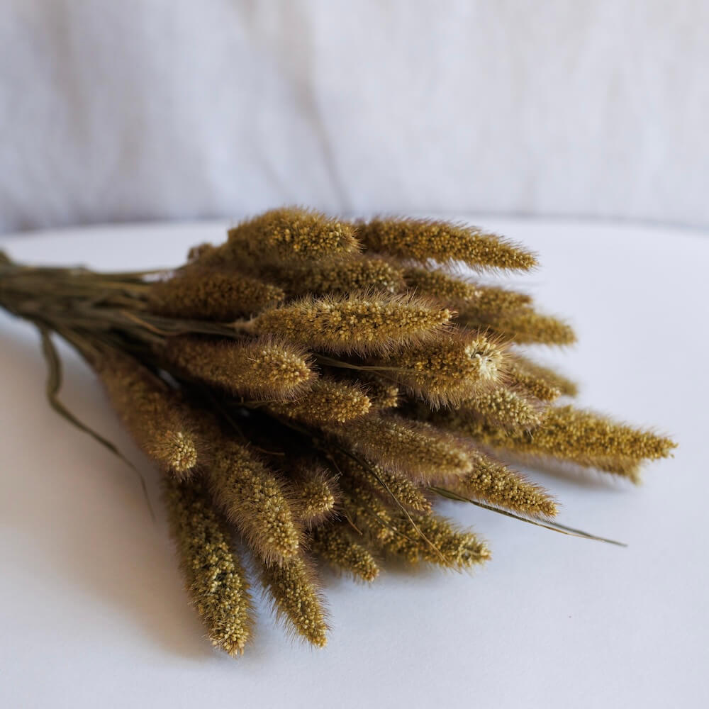 Botte sétaire naturelle