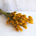 Saffron Phalaris boot