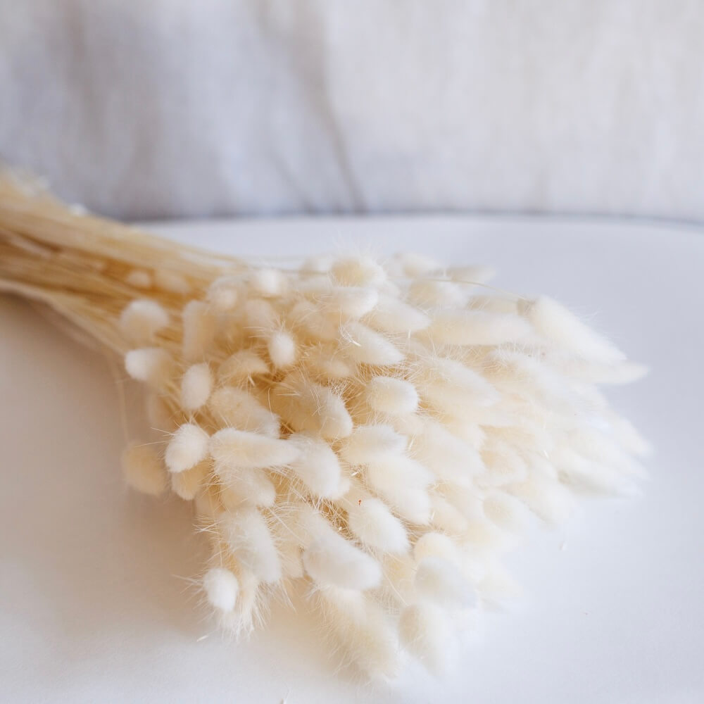 Botte Lagurus blanc