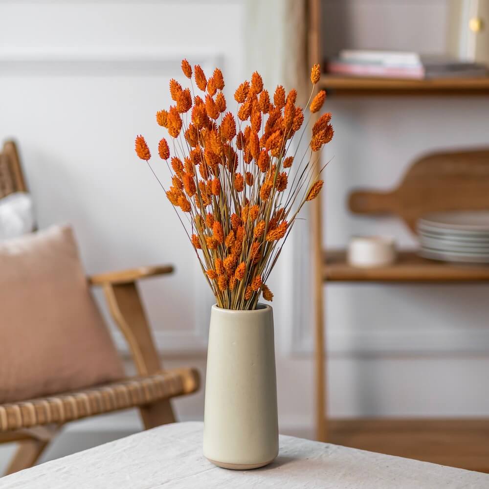 Botte Phalaris orange