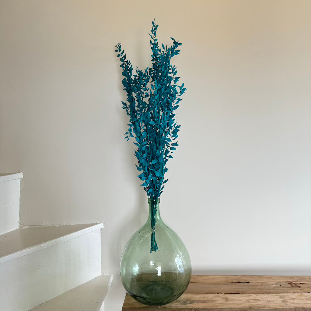 Botte Ruscus Turquoise