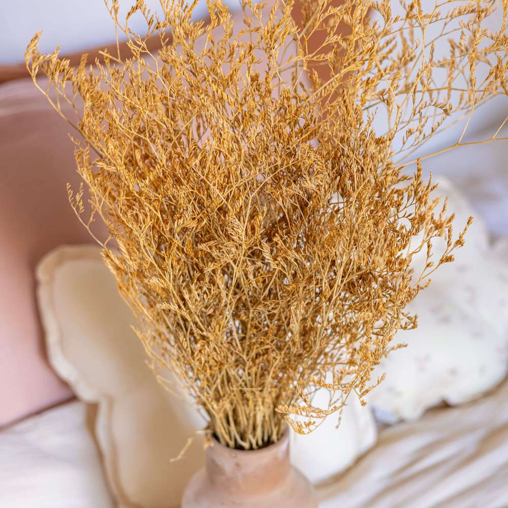 botte-limonium-jaune