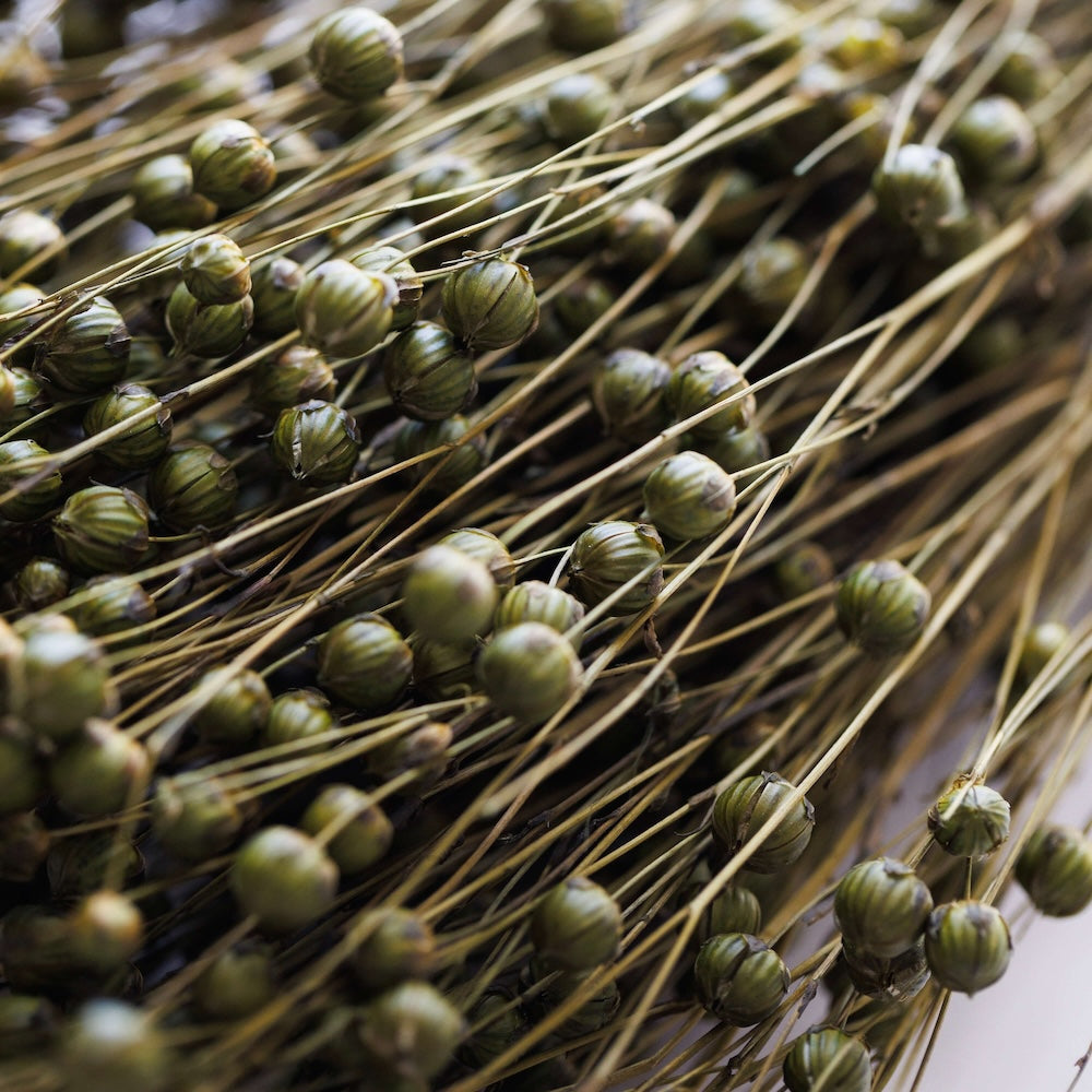 Botte Lin Vert olive