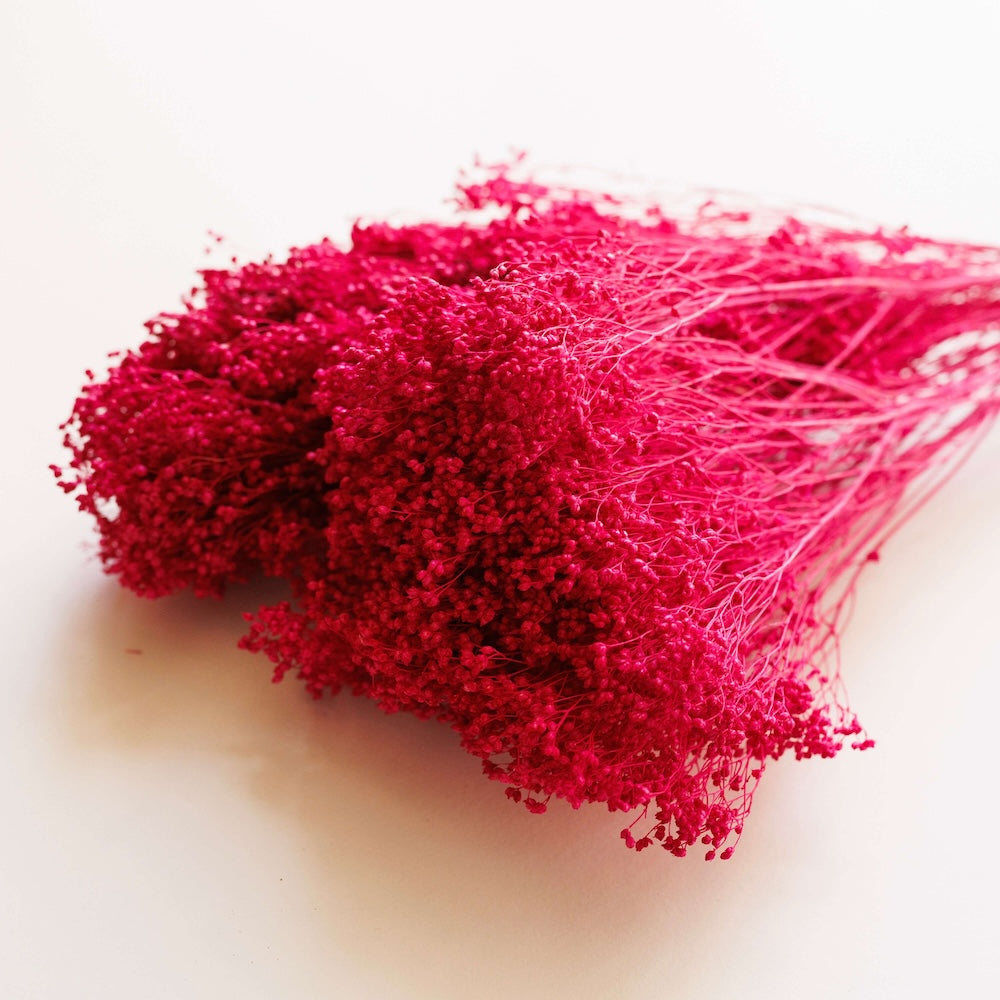 Botte Broom bloom Magenta