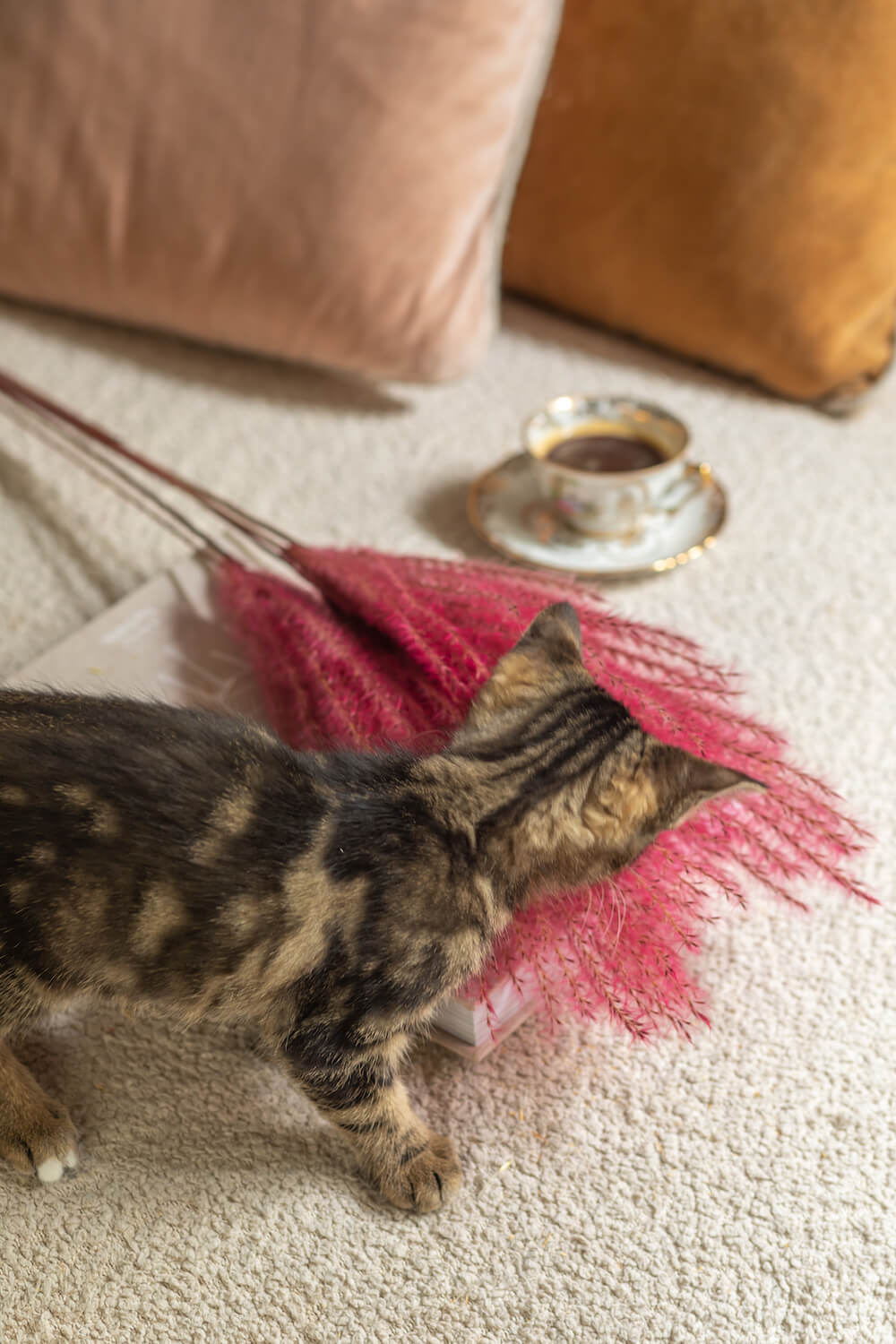 bottes-fleurs-sechees-flowrette-coloree-eulalia-rose