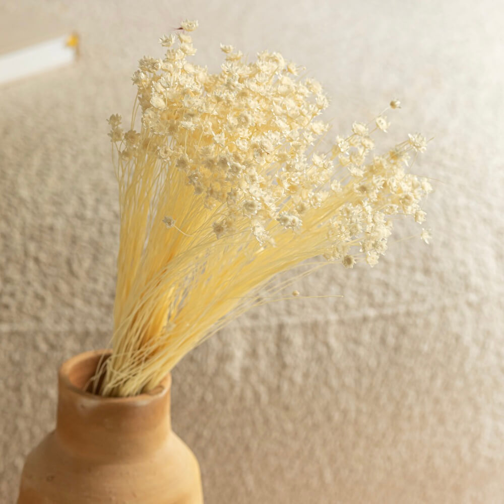 bottes-fleurs-sechees-flowrette-coloree-blanc-glixia
