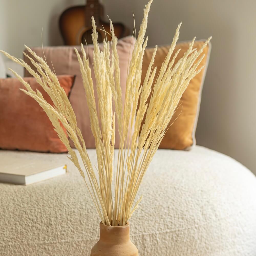 bottes-fleurs-sechees-flowrette-coloree-gramine-blanc