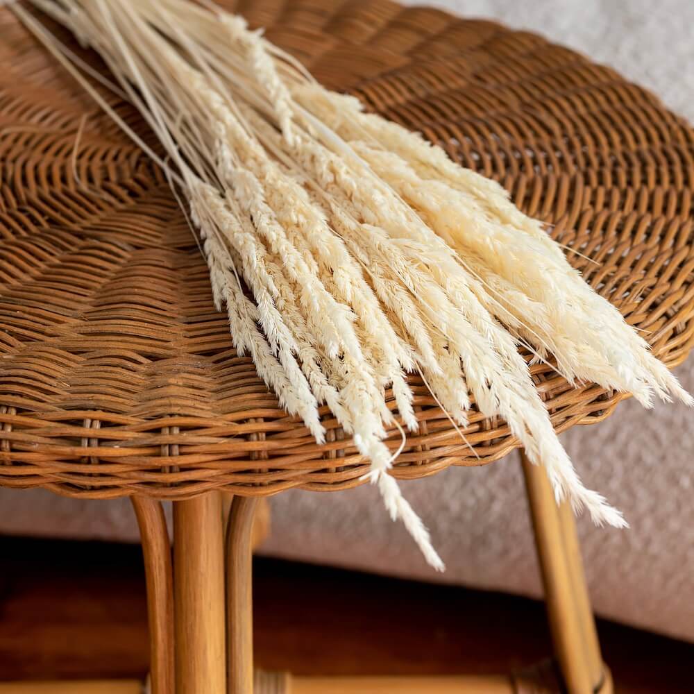 bottes-fleurs-sechees-flowrette-coloree-gramine-blanc