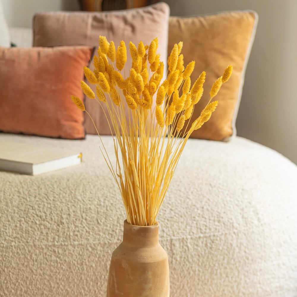 bottes-fleurs-sechees-flowrette-coloree-phalaris-jaune-clair