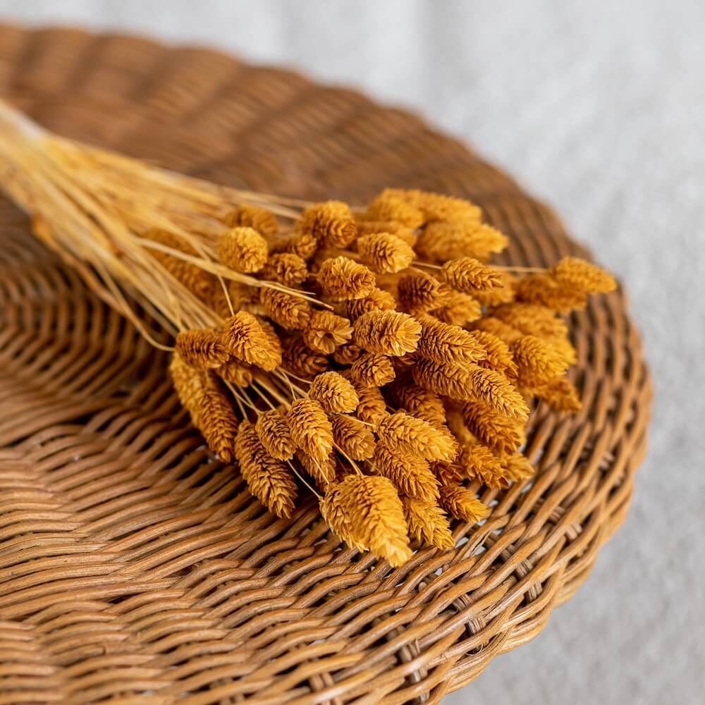 bottes-fleurs-sechees-flowrette-coloree-phalaris-ocres