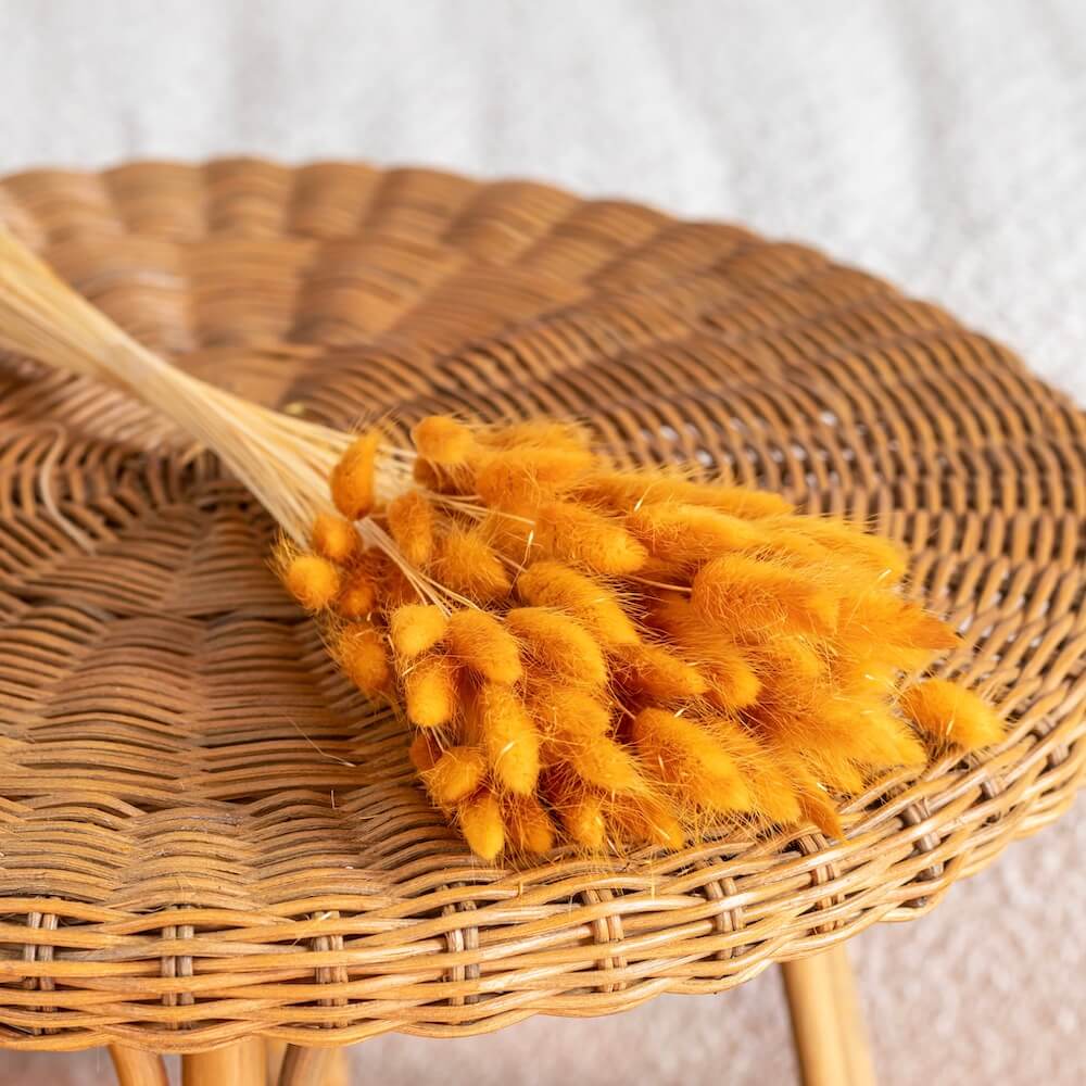 bottes-fleurs-sechees-flowrette-coloree-lagurus-terracotta