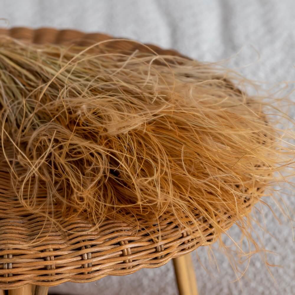 bottes-fleurs-sechees-flowrette-coloree-stipa-terracotta