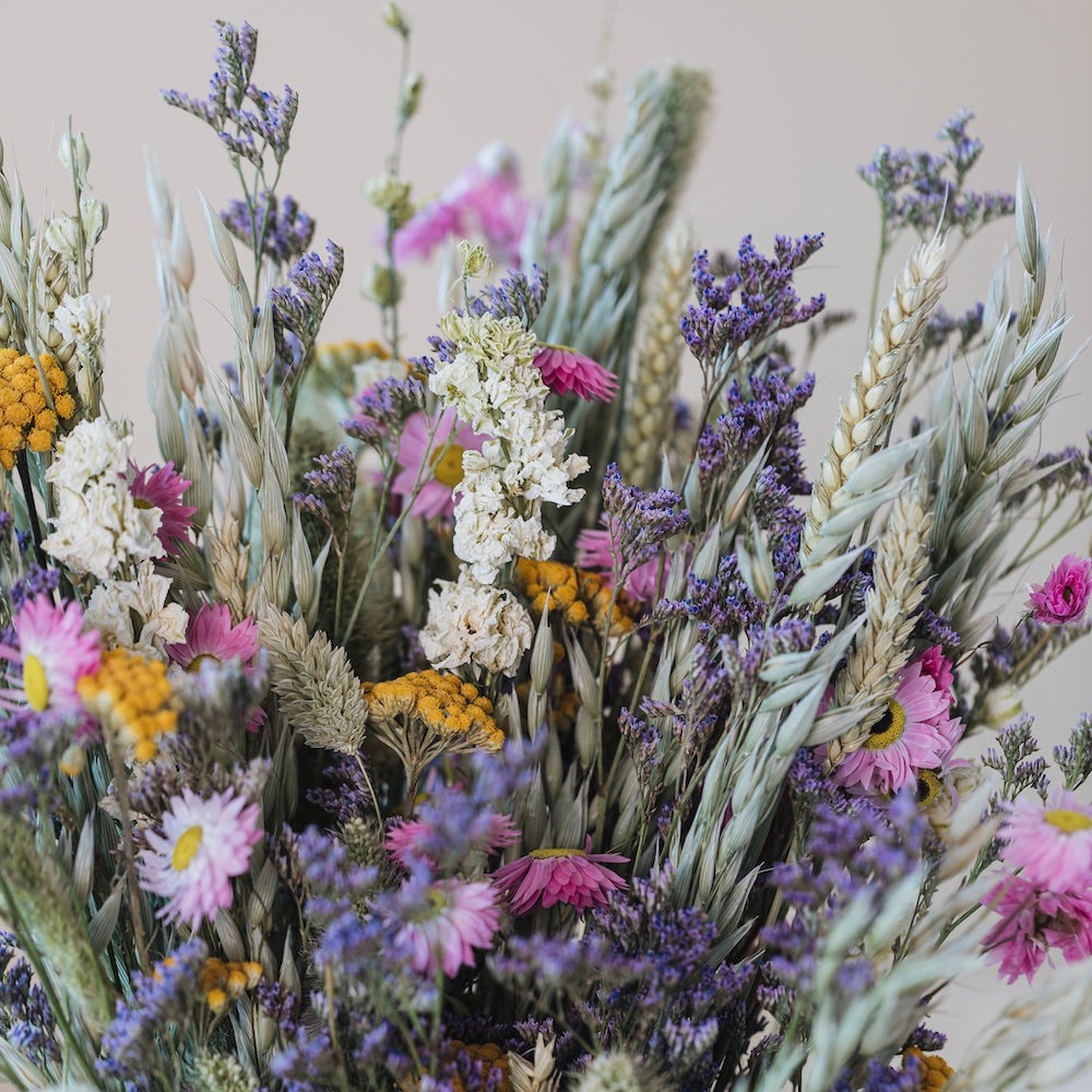 fleurs-sechees-printemps