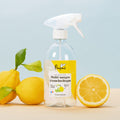 Bouteille spray pour nettoyant multi-usages