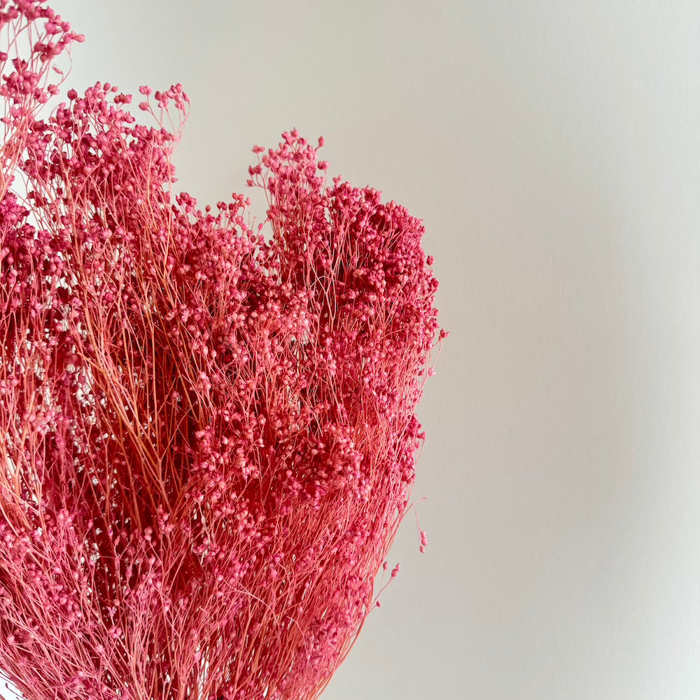 Botte Broom bloom Lilas