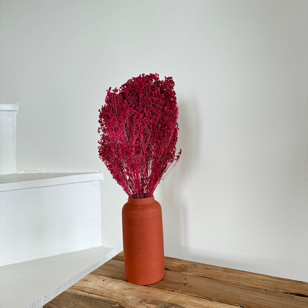 Botte Broom bloom Bordeaux