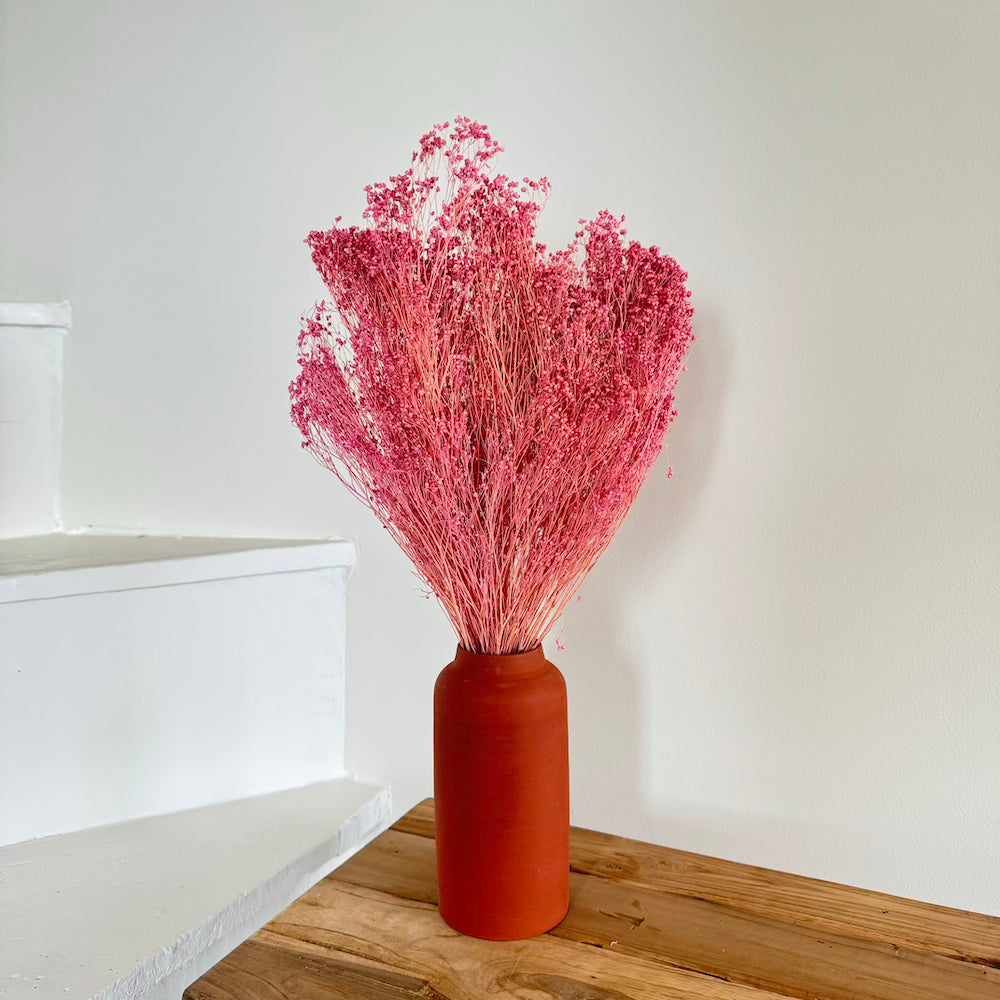 Botte Broom bloom Lilas