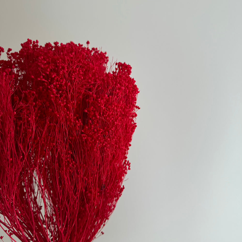 Botte Broom bloom rouge