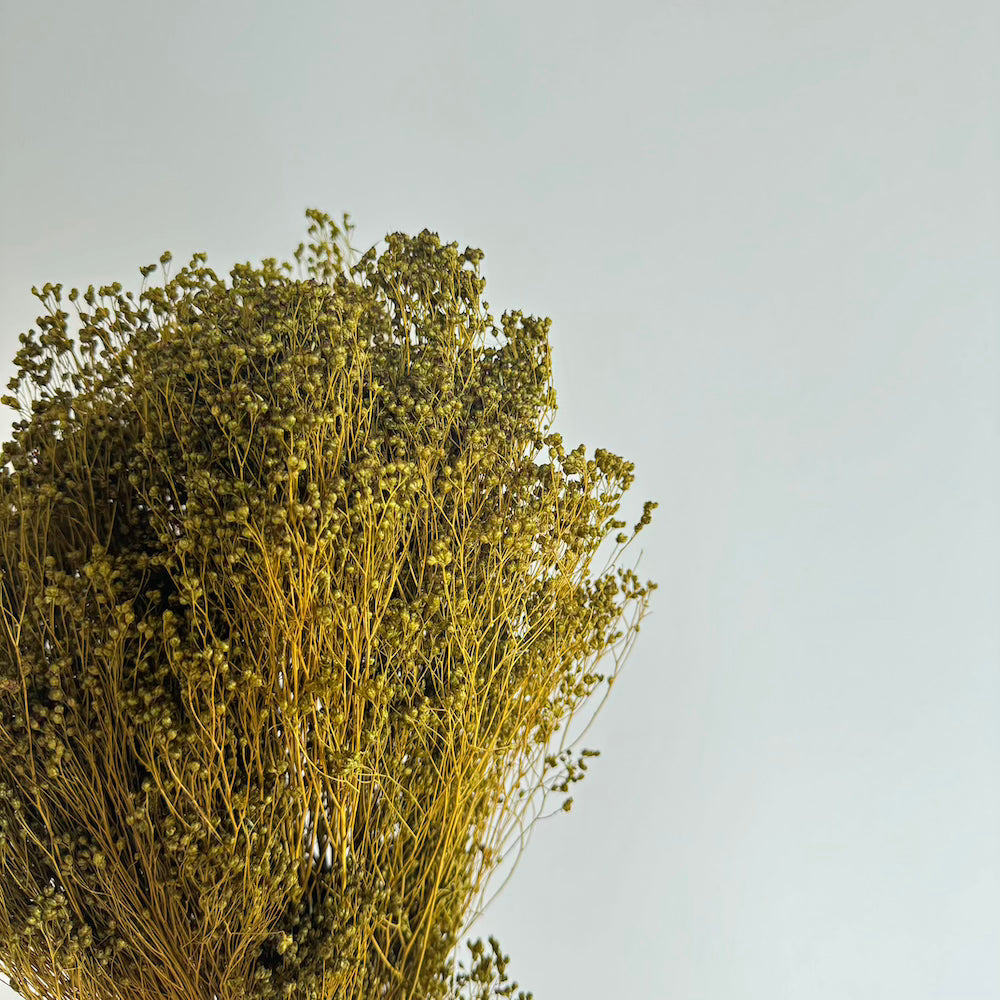 Botte Broom bloom Vert olive