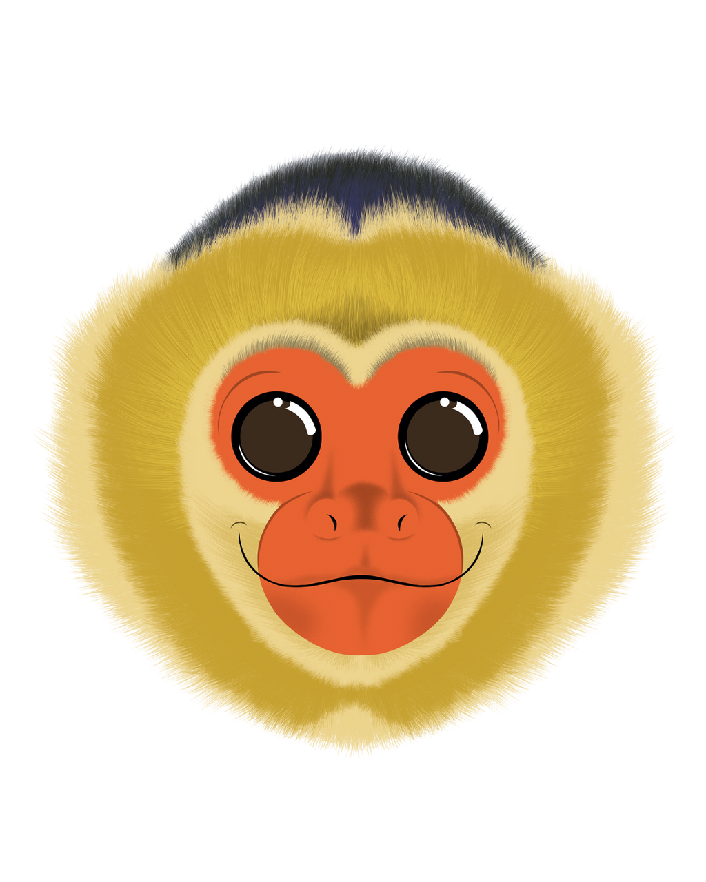 Product Image-0