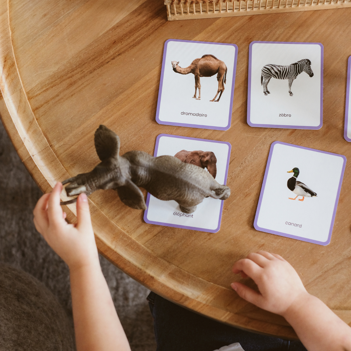 jeu de mise en paire animaux