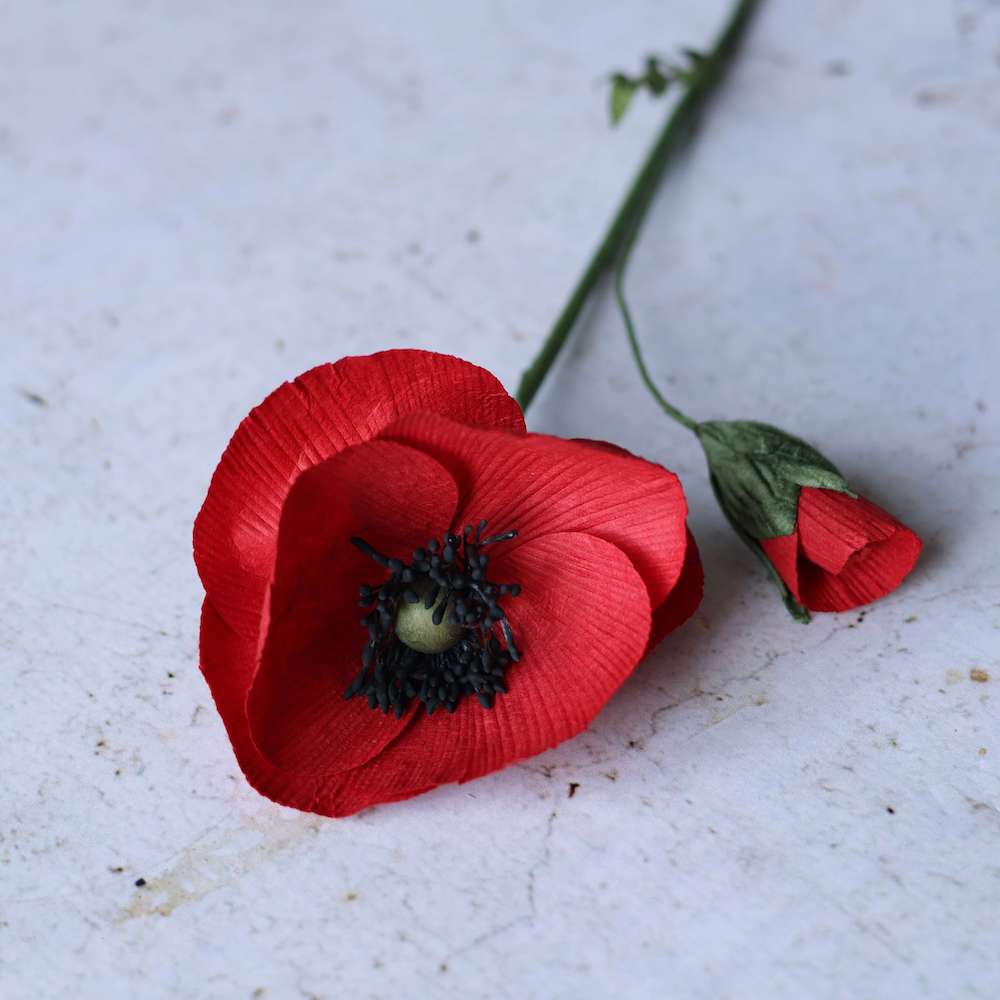 coquelicot-rouge-intense
