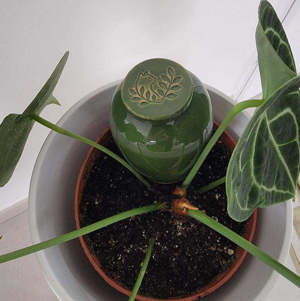 Product Image-6