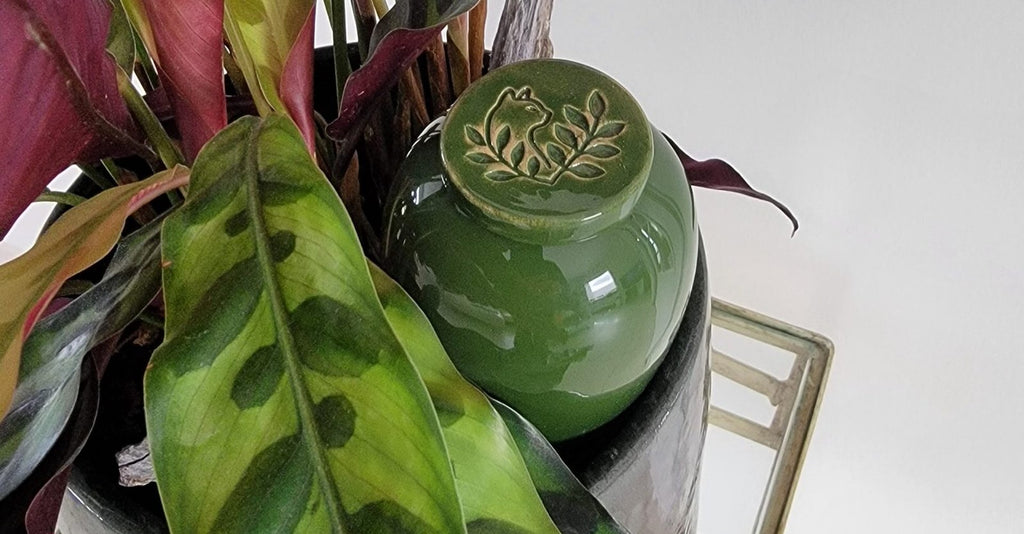 Product Image-5