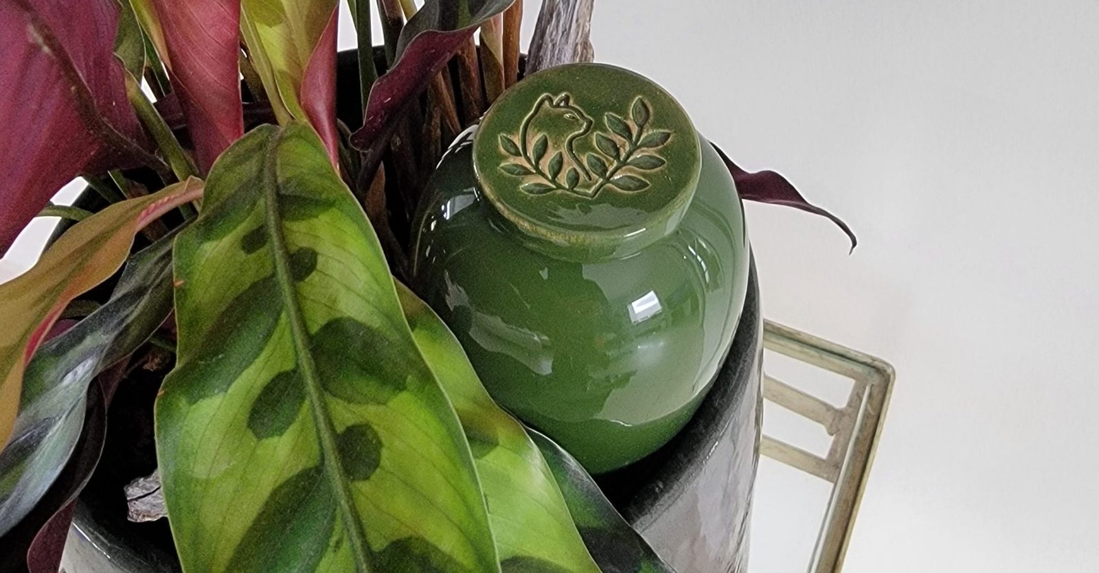 Product Image-5