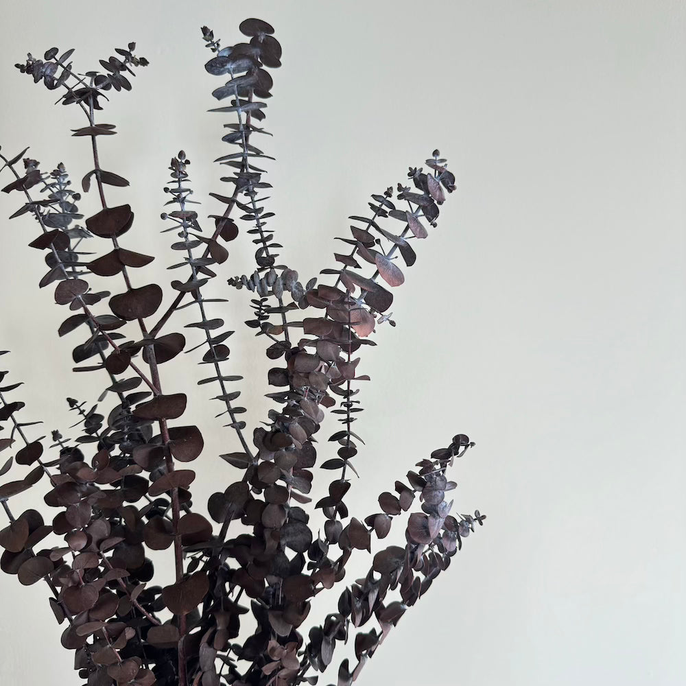 Botte Eucalyptus Baby Bordeaux