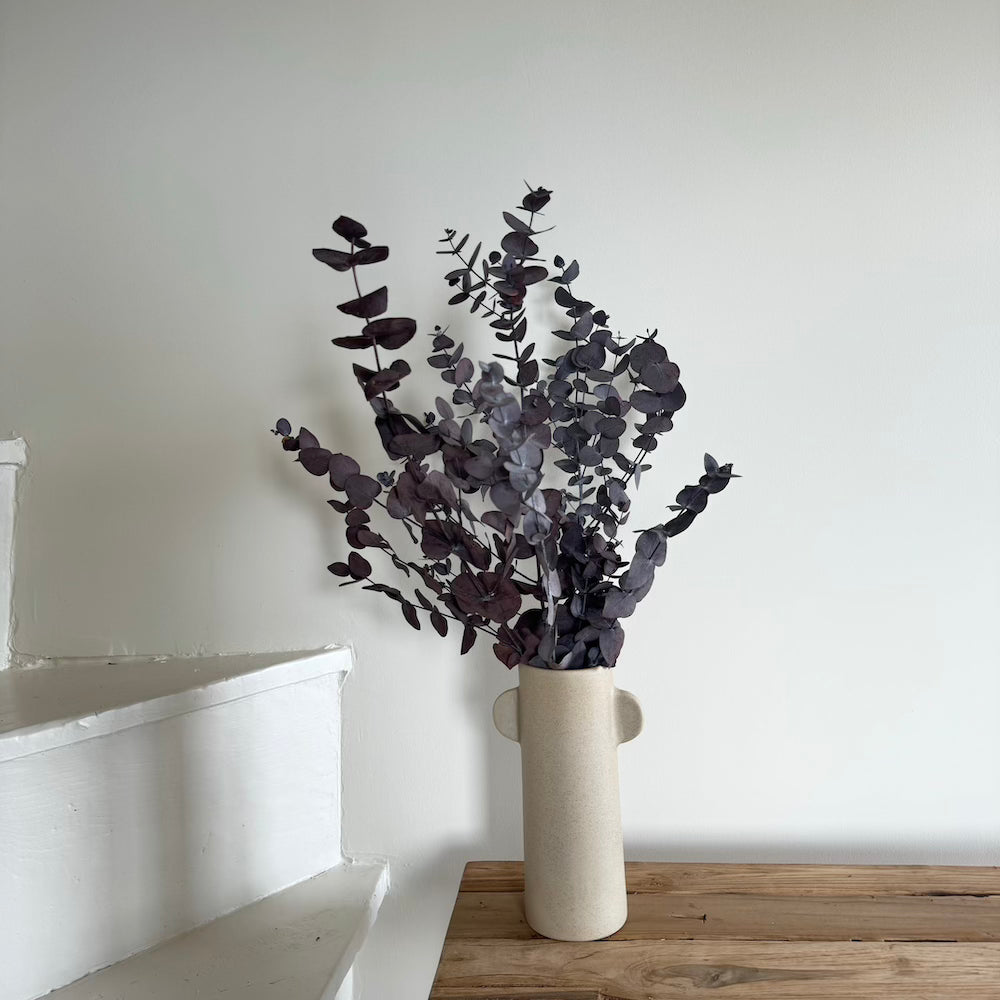 Botte Eucalyptus Cinerea Bordeaux