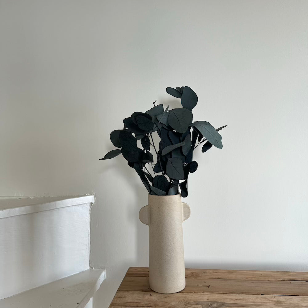 Botte Eucalyptus Populus Vert