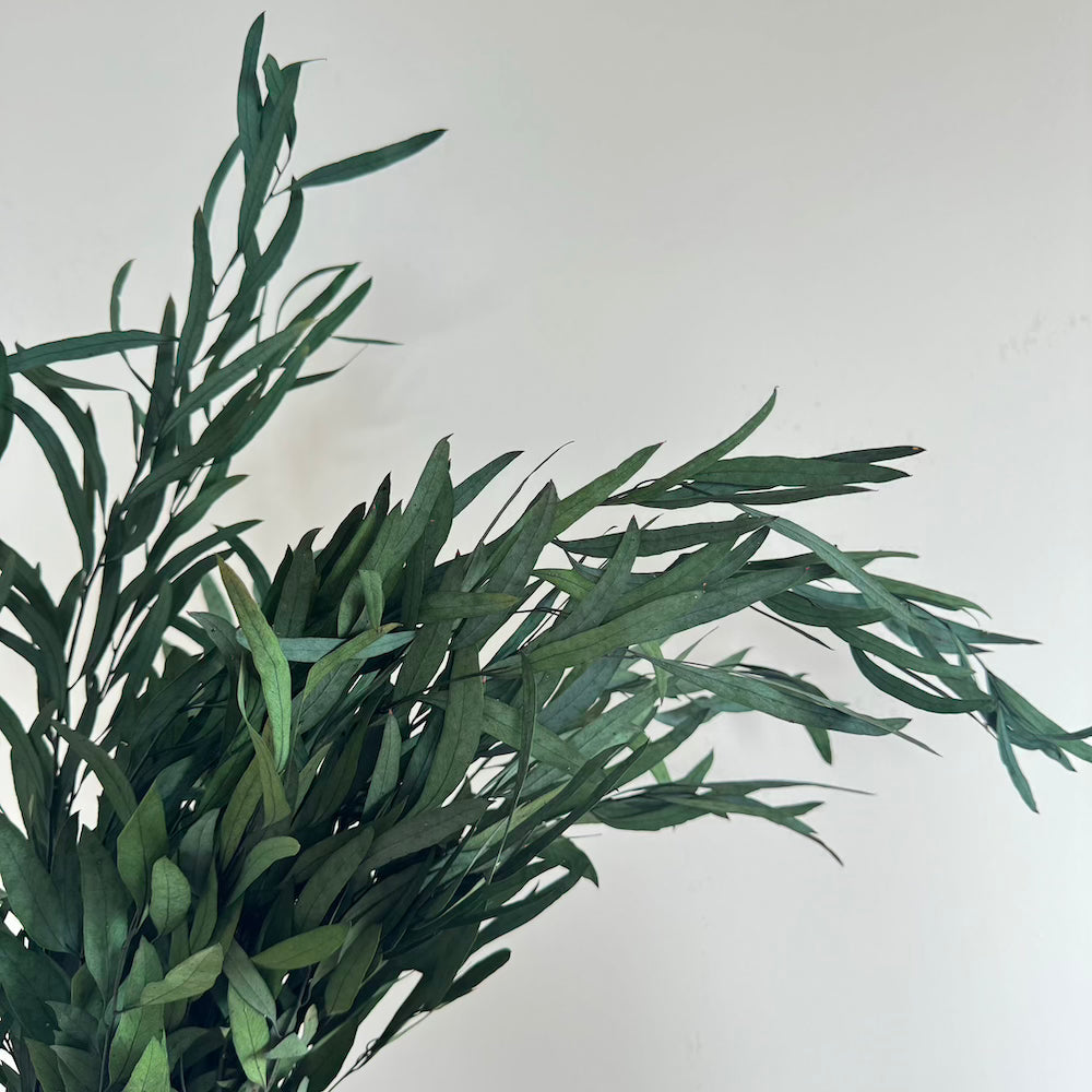 Eucalyptus Green Boot Nicoli