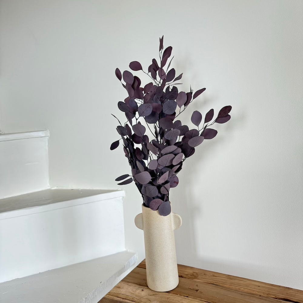 Botte Eucalyptus Populus Bordeaux